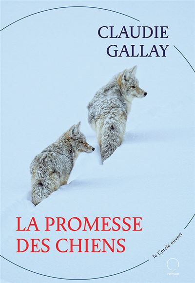 La-promee-des-chiens
