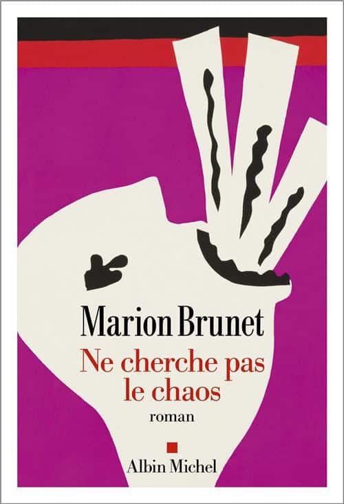 Ne-cherche-pas-le-chaos
